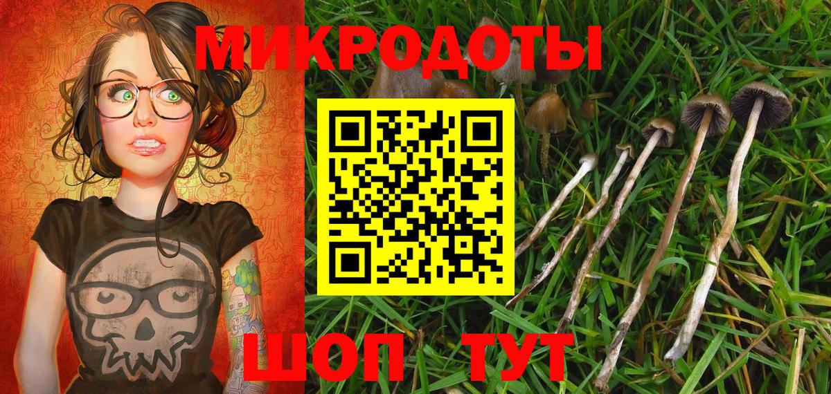 Гатчина  Галлюциногенные грибы GOLDEN TEACHER  Вход с VPN  Псилоцибиновые грибы мухоморы 