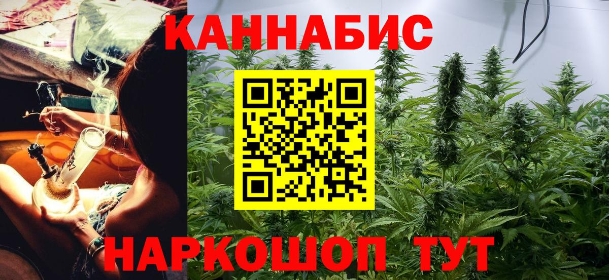 Бошки марихуана план Гатчина